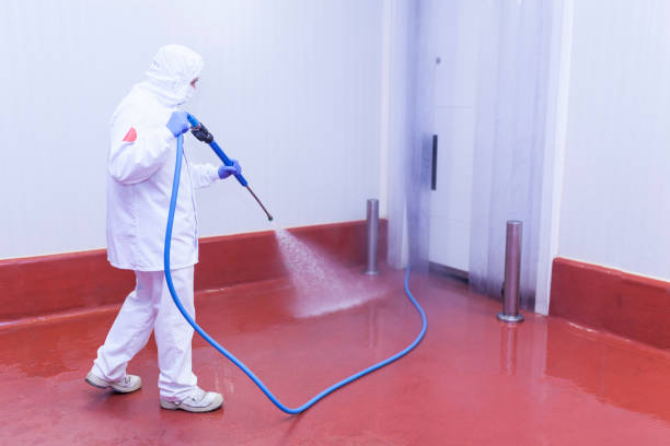 Best Playground Equipment Cleaning  in South Gull Lake, MI