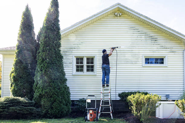 Best Patio and Deck Pressure Washing  in South Gull Lake, MI